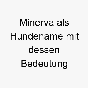 minerva als hundename mit dessen bedeutung 2 16847