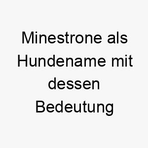 minestrone als hundename mit dessen bedeutung 16688