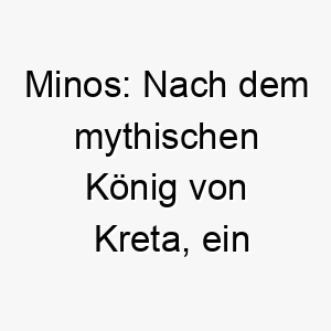 minos nach dem mythischen koenig von kreta ein koeniglicher und starker name fuer einen stolzen hund 22673