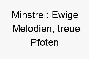 minstrel ewige melodien treue pfoten 22850