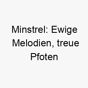 minstrel ewige melodien treue pfoten 22850