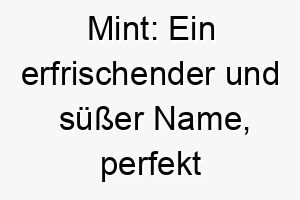 mint ein erfrischender und suesser name perfekt fuer einen hund mit einer erfrischenden und suessen persoenlichkeit 22449