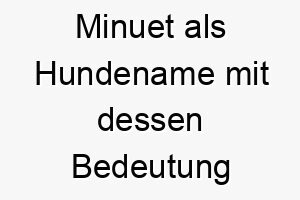 minuet als hundename mit dessen bedeutung 2 16690