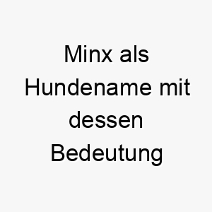 minx als hundename mit dessen bedeutung 16753