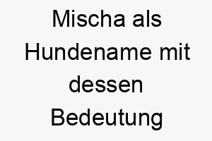 mischa als hundename mit dessen bedeutung 16749