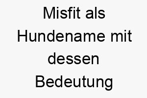 misfit als hundename mit dessen bedeutung 16602