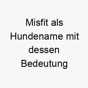 misfit als hundename mit dessen bedeutung 16602