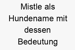 mistle als hundename mit dessen bedeutung 16516