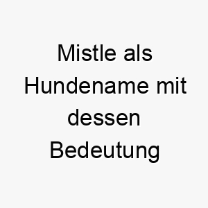 mistle als hundename mit dessen bedeutung 16516