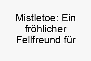 mistletoe ein froehlicher fellfreund fuer festliche feiertagsfreude 22855