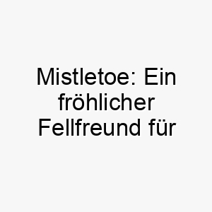 mistletoe ein froehlicher fellfreund fuer festliche feiertagsfreude 22855