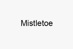 mistletoe 16196