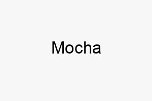 mocha 2 16183