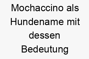 mochaccino als hundename mit dessen bedeutung 16830