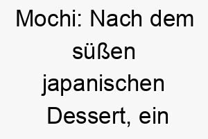 mochi nach dem suessen japanischen dessert ein suesser name fuer einen besonders liebenswerten hund 22470