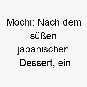 mochi nach dem suessen japanischen dessert ein suesser name fuer einen besonders liebenswerten hund 22470