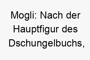 mogli nach der hauptfigur des dschungelbuchs passt gut zu einem abenteuerlustigen und wilden hund 22447