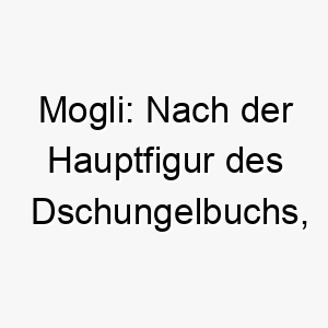 mogli nach der hauptfigur des dschungelbuchs passt gut zu einem abenteuerlustigen und wilden hund 22447