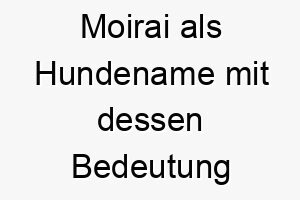 moirai als hundename mit dessen bedeutung 16838