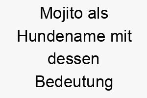 mojito als hundename mit dessen bedeutung 16605