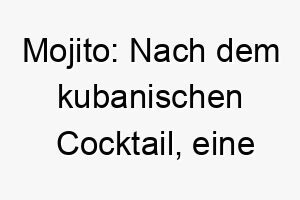 mojito nach dem kubanischen cocktail eine lustige wahl fuer einen suessen erfrischenden hund 22424