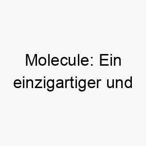 molecule ein einzigartiger und wissenschaftlicher name ideal fuer einen kleinen hund mit einer grossen persoenlichkeit 22456