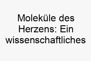 molekuele des herzens ein wissenschaftliches meisterwerk voller charme und klugheit 22876