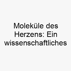 molekuele des herzens ein wissenschaftliches meisterwerk voller charme und klugheit 22876