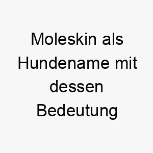 moleskin als hundename mit dessen bedeutung 16517