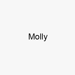 molly 16172