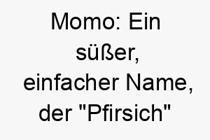 momo ein suesser einfacher name der pfirsich auf japanisch bedeutet ideal fuer einen liebenswerten und suessen hund 22676