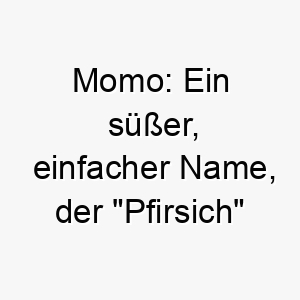 momo ein suesser einfacher name der pfirsich auf japanisch bedeutet ideal fuer einen liebenswerten und suessen hund 22676