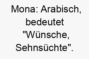 mona arabisch bedeutet wuensche sehnsuechte ein liebevoller und emotionaler name 6770