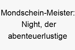 mondschein meister night der abenteuerlustige nachthund 23135