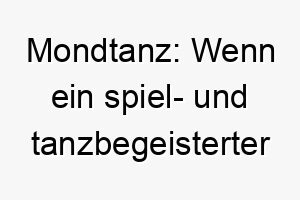 mondtanz wenn ein spiel und tanzbegeisterter hund den namen des legendaeren michael jackson tanzschritts traegt 22847