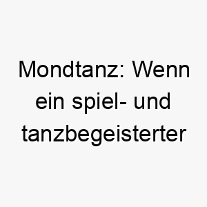 mondtanz wenn ein spiel und tanzbegeisterter hund den namen des legendaeren michael jackson tanzschritts traegt 22847