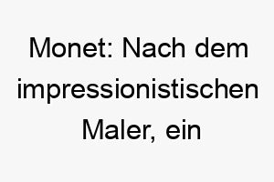 monet nach dem impressionistischen maler ein kuenstlerischer und raffinierter name fuer einen schoenen hund 22674