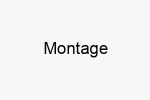 montage 16321