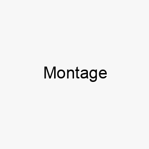 montage 16321