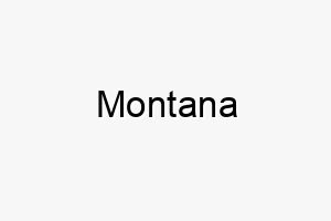 montana 16223