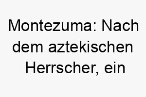 montezuma nach dem aztekischen herrscher ein majestaetischer und maechtiger name fuer einen grossen starken hund 22467