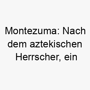 montezuma nach dem aztekischen herrscher ein majestaetischer und maechtiger name fuer einen grossen starken hund 22467