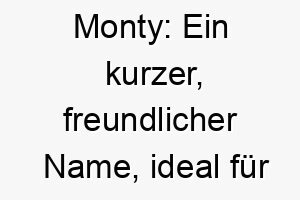 monty ein kurzer freundlicher name ideal fuer einen geselligen und liebevollen hund 22698