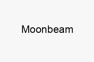 moonbeam 16204