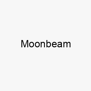 moonbeam 16204