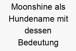 moonshine als hundename mit dessen bedeutung 16600