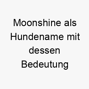 moonshine als hundename mit dessen bedeutung 16600