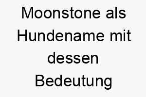 moonstone als hundename mit dessen bedeutung 16523