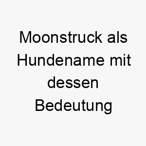 moonstruck als hundename mit dessen bedeutung 16758