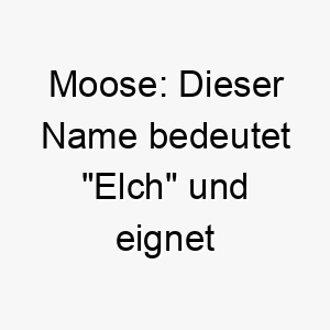 moose dieser name bedeutet elch und eignet sich gut fuer grosse majestaetische hunde 22381